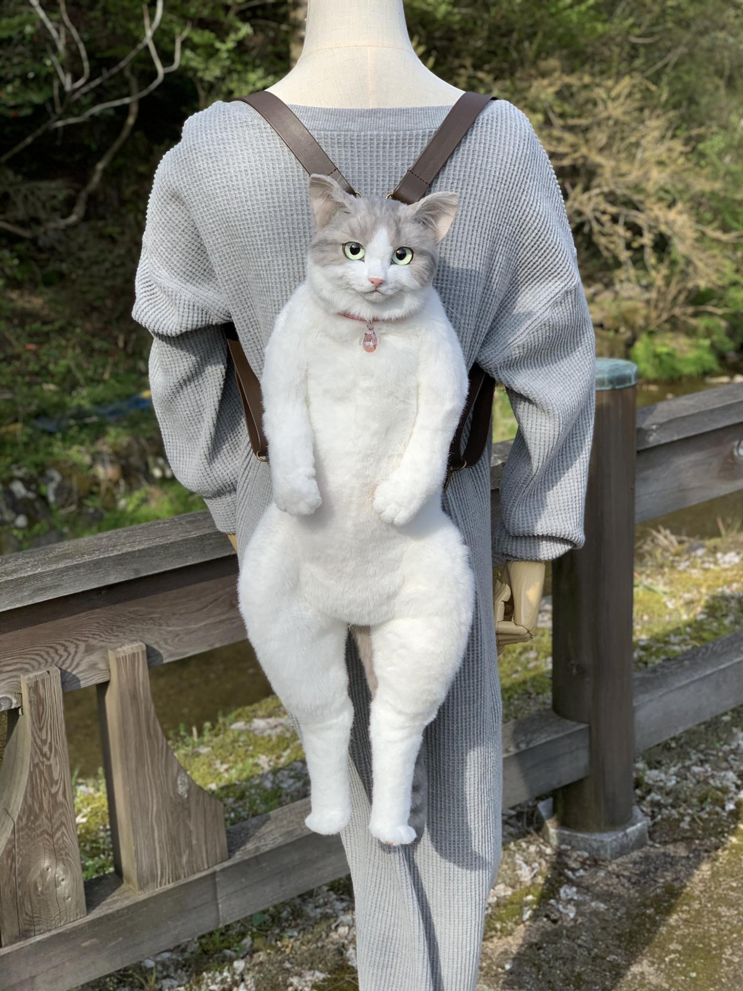 Cat hotsell with bag